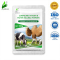 Verbundes Vitaminb -Pulver für die Gesundheit von Tier (wasserlöslich)